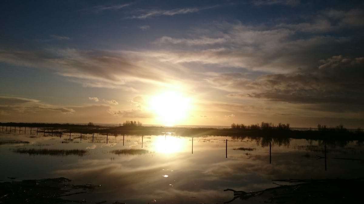 Was für ein schöner Tag!